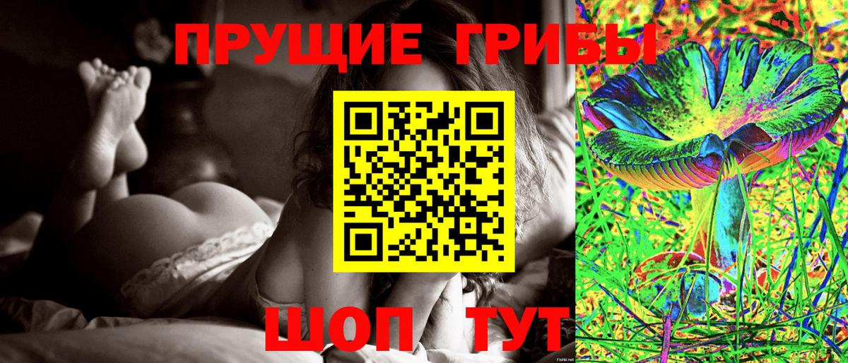 Можга  Псилоцибиновые грибы Psilocybe  где купить   Вход с VPN 