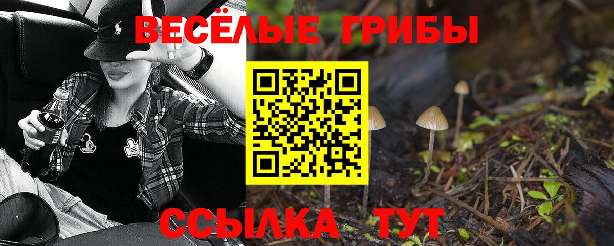 Псилоцибиновые грибы Magic Shrooms Можга